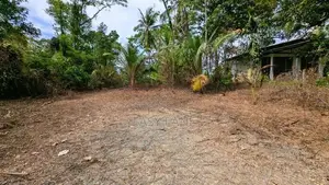 ඌරාපොල – බෝපැත්තෙන් වටිනා බිම් කොටසක් වහාම විකිණීමට