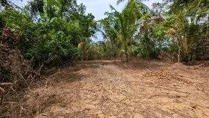 ඌරාපොල – බෝපැත්තෙන් වටිනා බිම් කොටසක් වහාම විකිණීමට