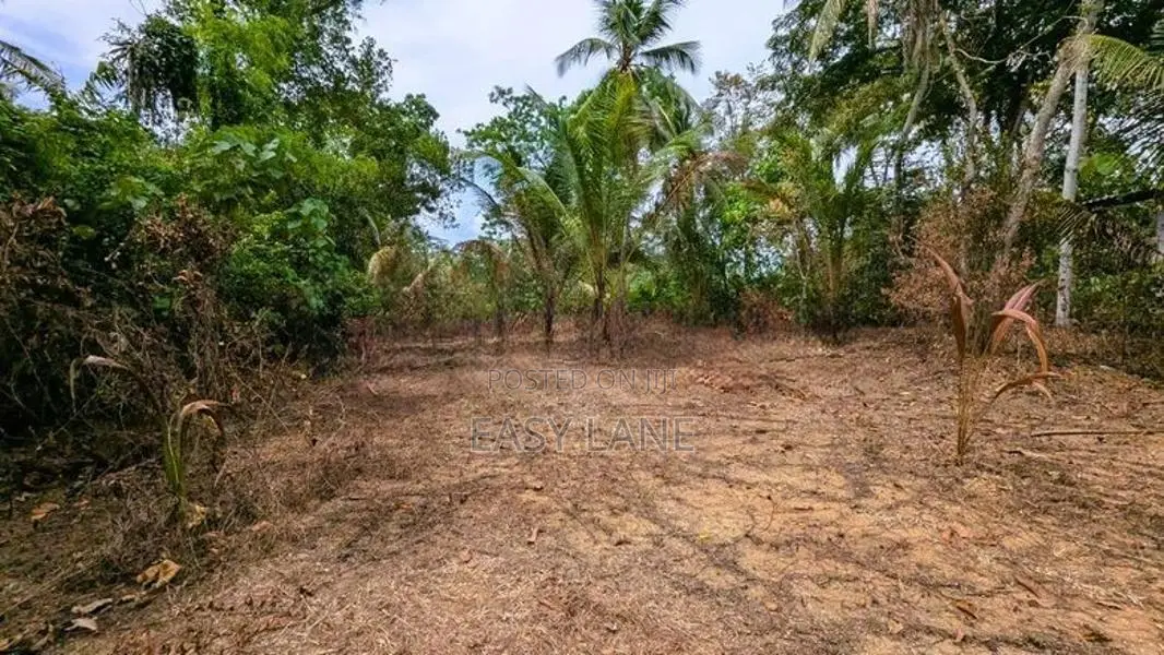 ඌරාපොල – බෝපැත්තෙන් වටිනා බිම් කොටසක් වහාම විකිණීමට
