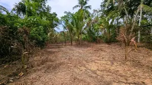ඌරාපොල – බෝපැත්තෙන් වටිනා බිම් කොටසක් වහාම විකිණීමට