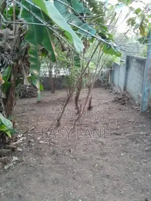 නුවර පල්ලෙකැලේ නේවාසික බිම් කොටසක් විකිණීමට ‎