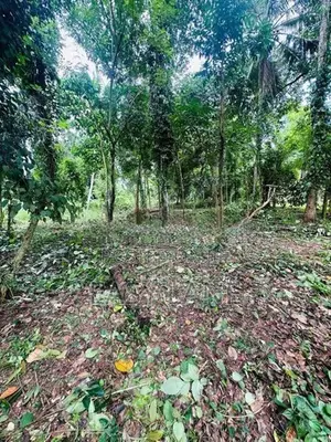 මිනුවන්ගොඩ නගරයට ආසන්නයෙන් වටිනා බිම්කොටසක් විකිණීමට