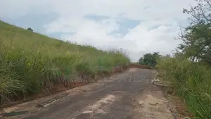 Land for Sale Nillamba
