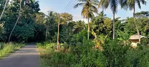 Horombawa - Land With Coconut Trees For Sale (Molligoda-Horombawa Road
