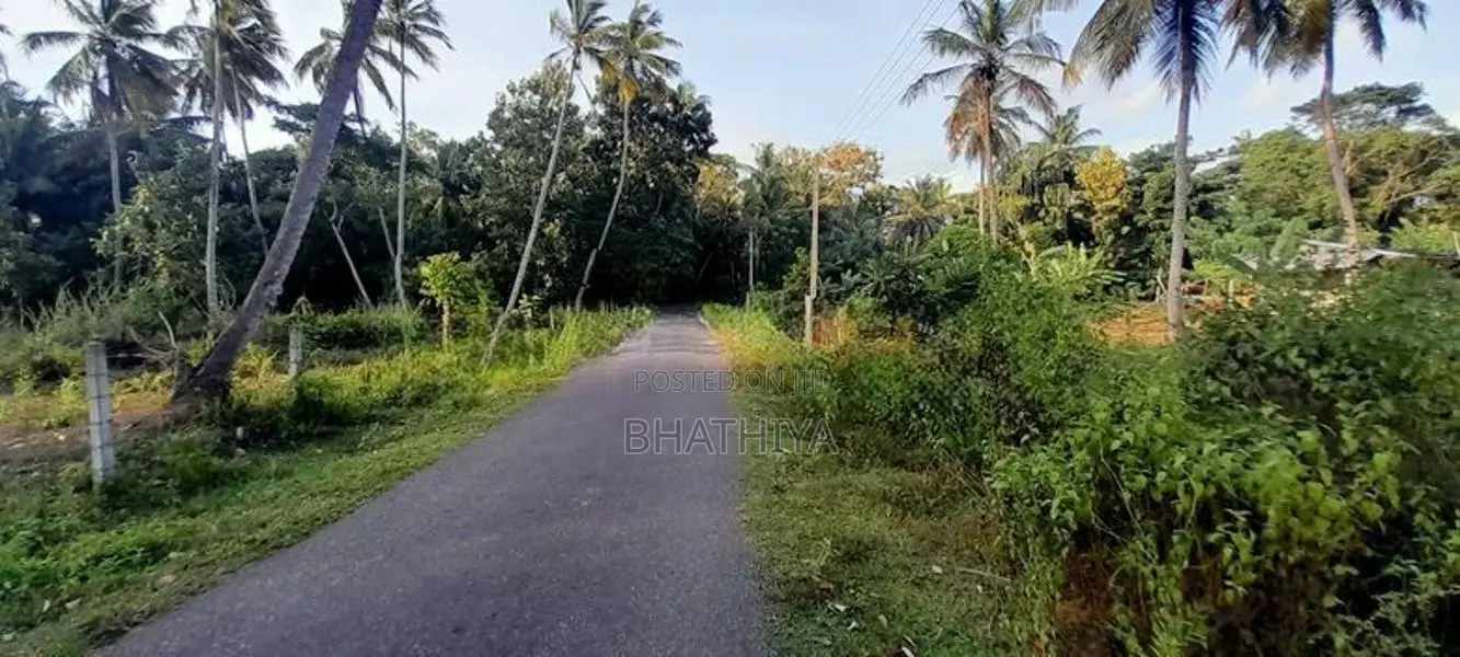 Horombawa - Land With Coconut Trees For Sale (Molligoda-Horombawa Road