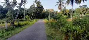 Horombawa - Land With Coconut Trees For Sale (Molligoda-Horombawa Road