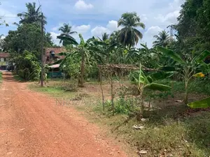 Land for Sale in Pannala Town