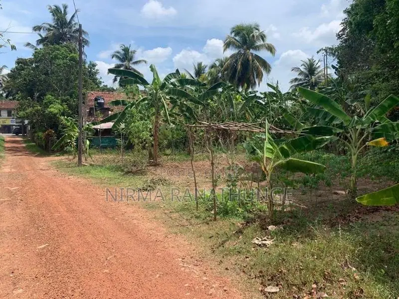 Land for Sale in Pannala Town