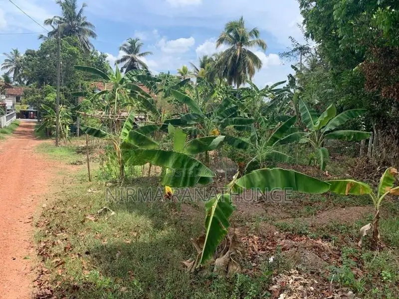 Land for Sale in Pannala Town