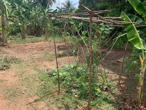 Land for Sale in Pannala Town