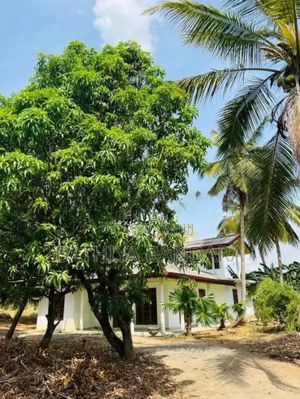 160P Land for Sale Mahiyangana