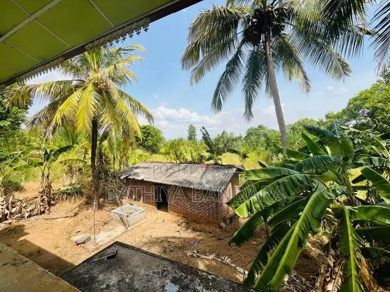 160P Land for Sale Mahiyangana