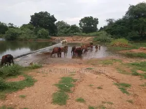 Agriculture Land for Sale Hambantota