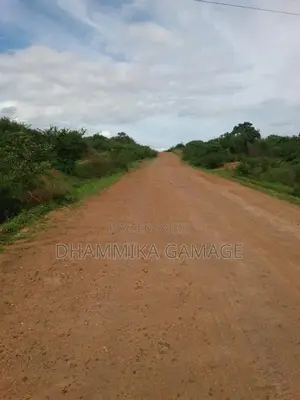 Agriculture Land for Sale Hambantota
