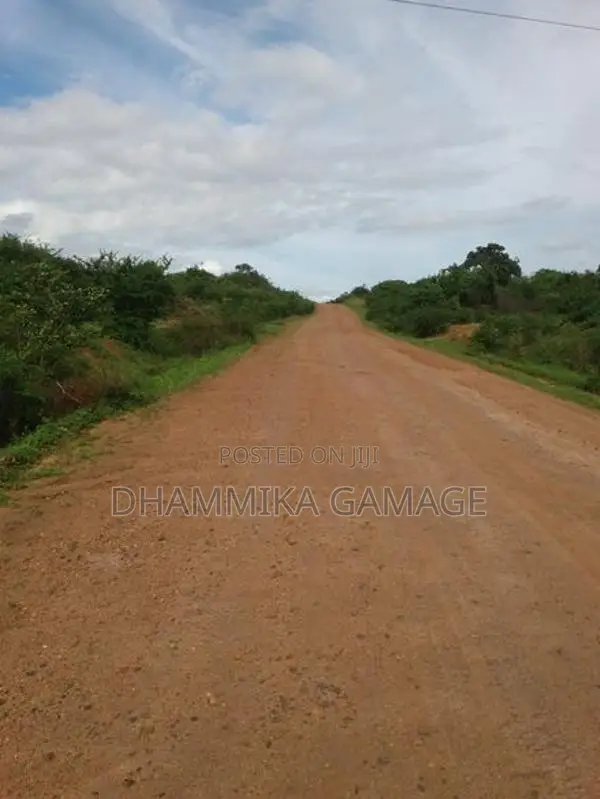 Agriculture Land for Sale Hambantota