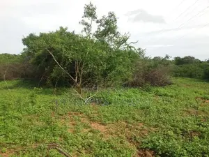 Agriculture Land for Sale Hambantota