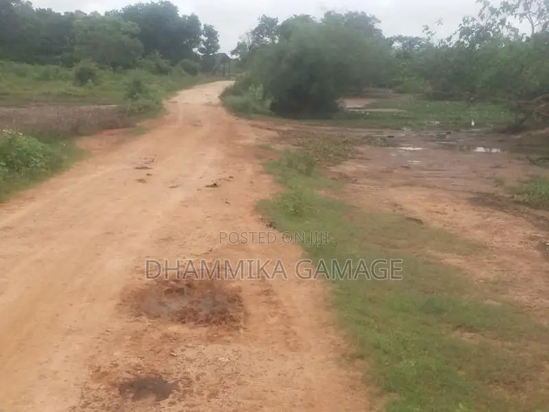 Agriculture Land for Sale Hambantota