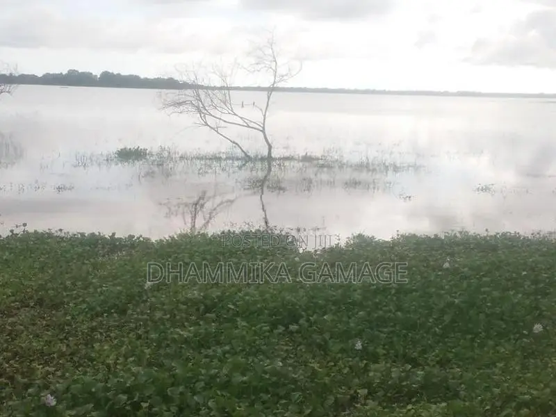 Agriculture Land for Sale Hambantota