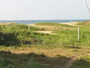 The Beach Land for Sales Ambalanthota