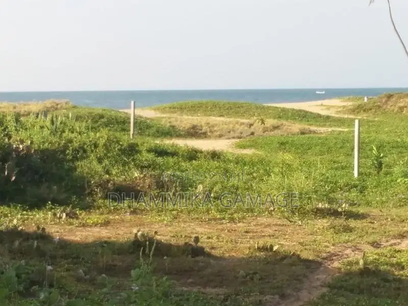 The Beach Land for Sales Ambalanthota