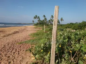 The Beach Land for Sales Ambalanthota