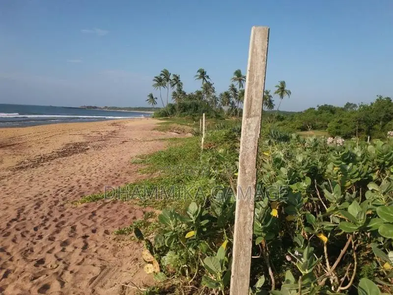 The Beach Land for Sales Ambalanthota