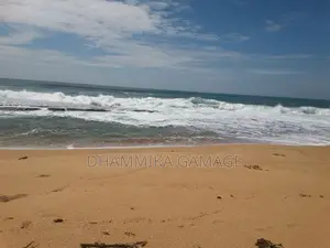 The Beach Land for Sales Ambalanthota