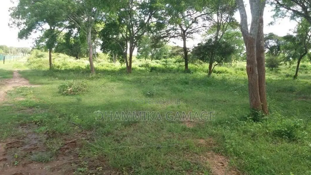 වගාව සමග ඉඩම විකිනිමට Hambanthota