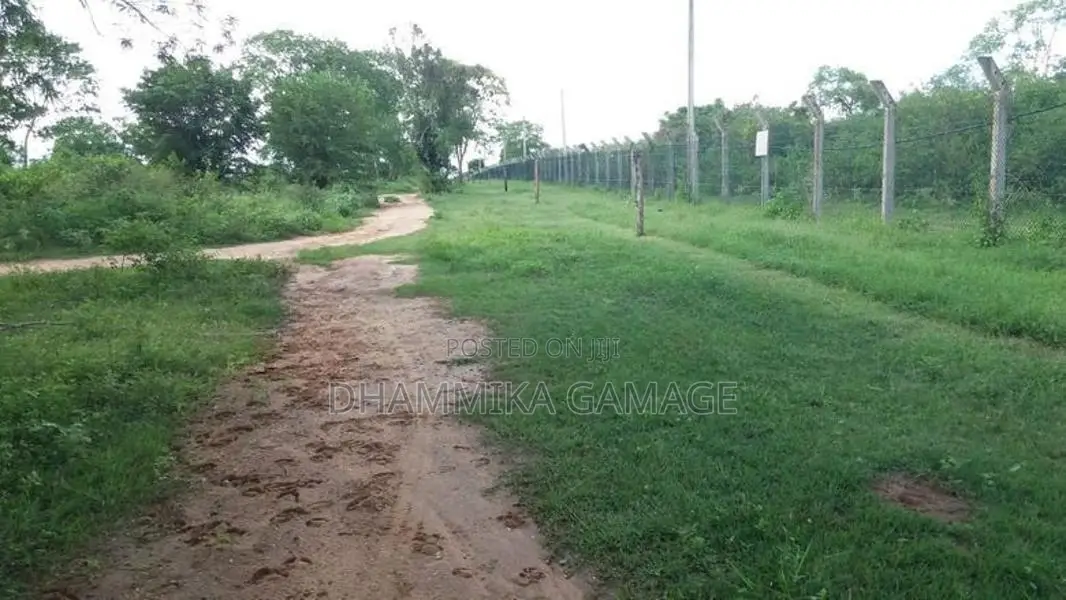 වගාව සමග ඉඩම විකිනිමට Hambanthota