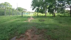 වගාව සමග ඉඩම විකිනිමට Hambanthota