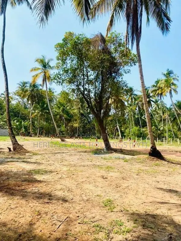 හලාවත කොළඹ පාරට 800m දුරින් සින්නක්කර බිම් කොටස්