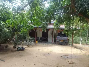අක්කර 6.5 ක සුපිරි ඉඩමක් - පොල්පිතිගම