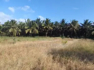 අක්කර 6.5 ක සුපිරි ඉඩමක් - පොල්පිතිගම