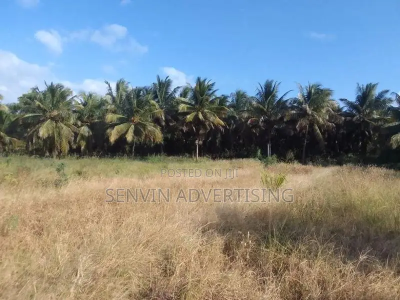 අක්කර 6.5 ක සුපිරි ඉඩමක් - පොල්පිතිගම