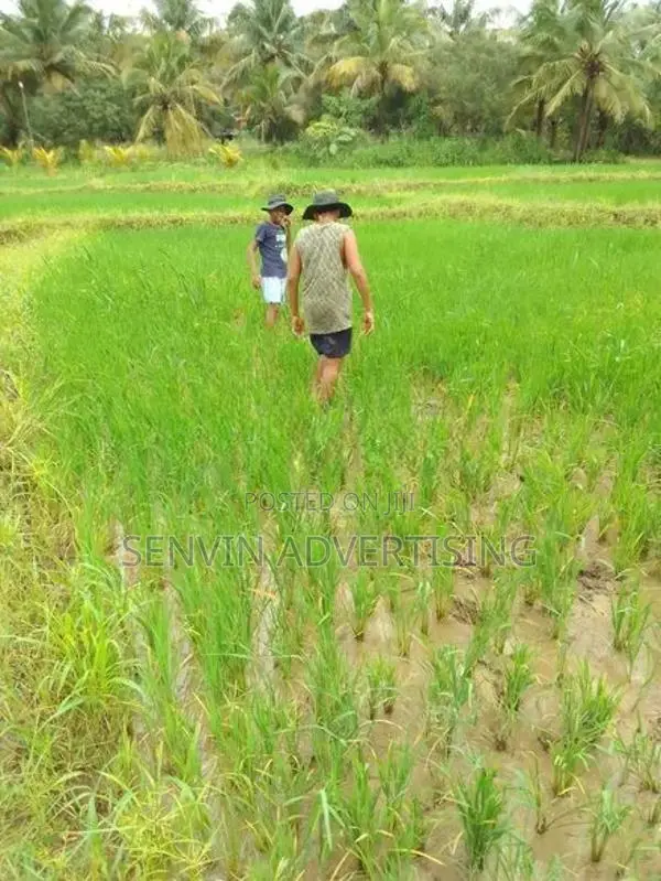 අක්කර 6.5 ක සුපිරි ඉඩමක් - පොල්පිතිගම