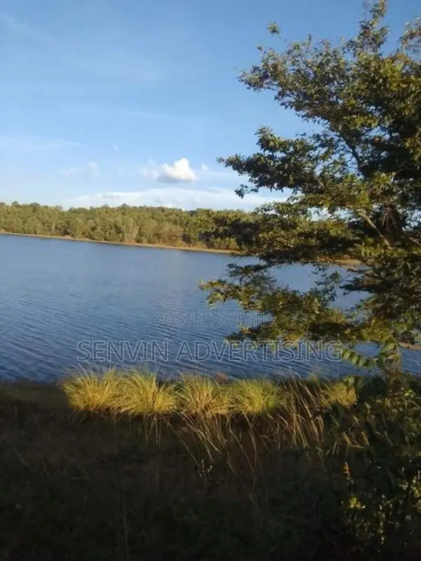 අක්කර 6.5 ක සුපිරි ඉඩමක් - පොල්පිතිගම