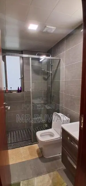 Astoria 3 Bedroom Furnished Apartment for Rent Colombo