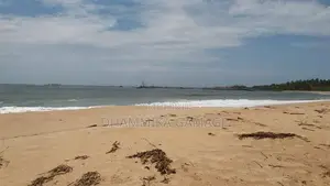 Commercial Land for Sales - Walipatanwila