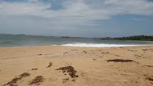 Commercial Land for Sales - Walipatanwila