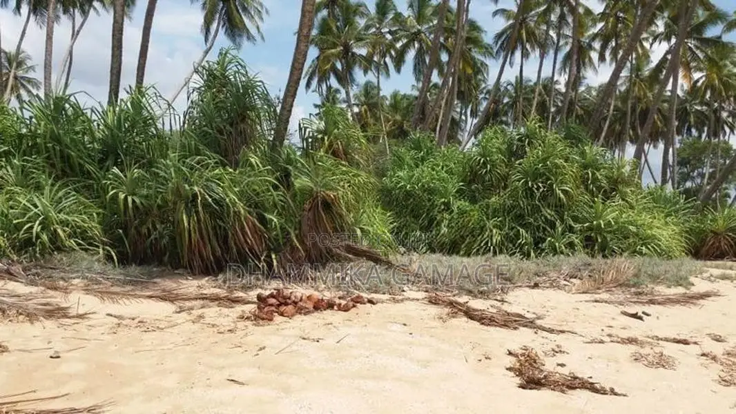 Commercial Land for Sales - Walipatanwila