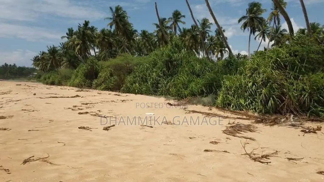 Commercial Land for Sales - Walipatanwila