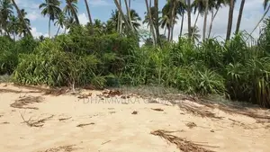 Commercial Land for Sales - Walipatanwila