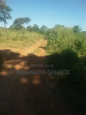 Commercial -Land for Sales Hambanthota