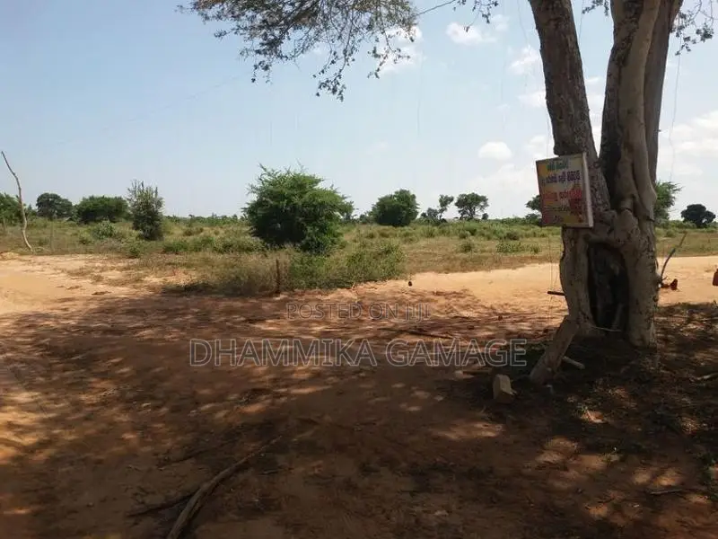 Commercial -Land for Sales Hambanthota