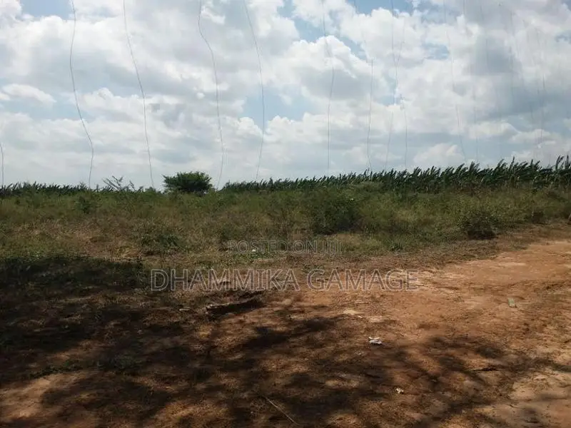 Commercial -Land for Sales Hambanthota