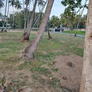 පැල්ලන්දෙණිය හන්දියෙන්ම ඉඩමක්