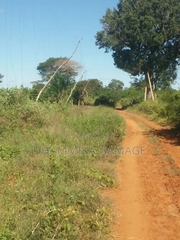 Commercial Land for Sale Hambanthota