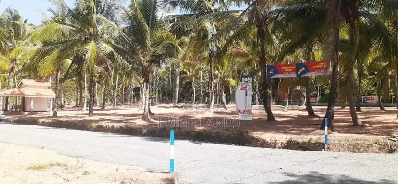 කුරුණෑගල අනුරාධපුර පාරට මුහුණලා ඉඩමක් විකිණීමට