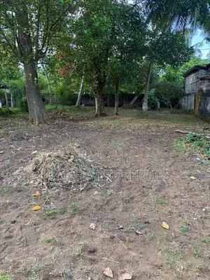 Land for Sale in Wadduwa – Thalpitiya