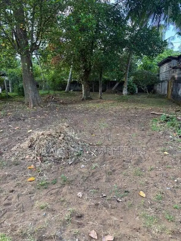 Land for Sale in Wadduwa – Thalpitiya